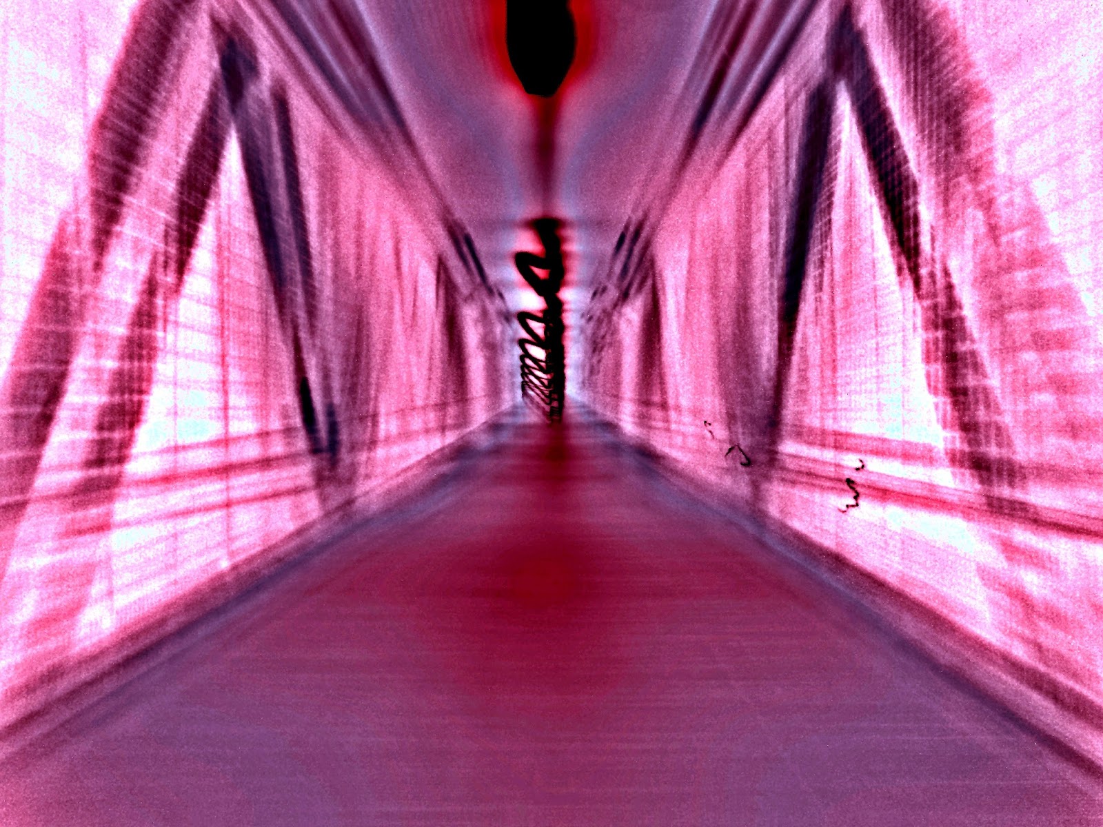 Geist No. 5